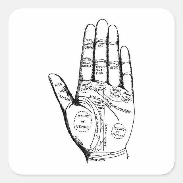 Vintage Palmistry Chart Palm Reading Square Sticker (Front)