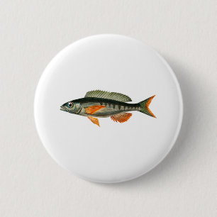 Vintage Pandora fish illustration 2 Inch Round Button