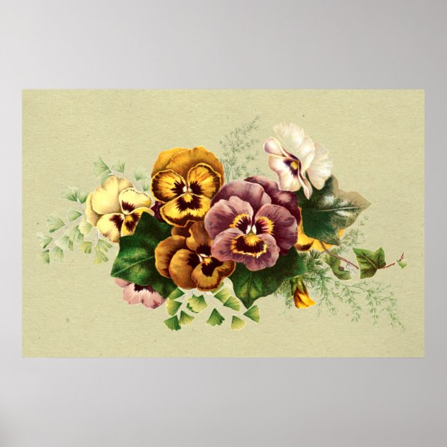 Vintage Pansies Bouquet Poster (Front)