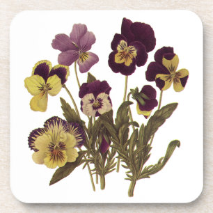 Vintage Pansies in Bloom, Floral Garden Flowers Coaster