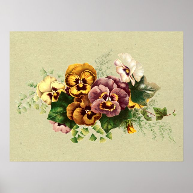 Vintage Pansies Painted Bouquet Poster (Front)