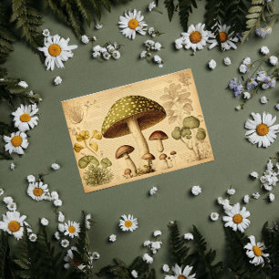 Vintage Paper Mushroom french Decoupage