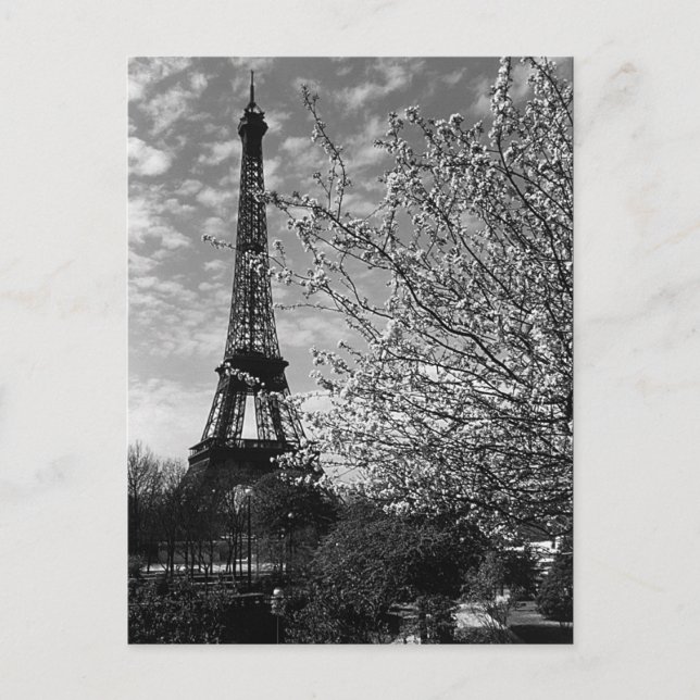Vintage Paris Eiffel Tower Postcard (Front)