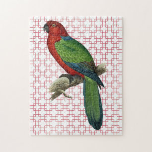 Vintage Parrot Bird on Retro Art Jigsaw Puzzle