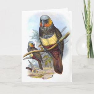 Vintage Parrot Bird PE_GC - Blank Note Card