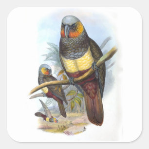 Vintage Parrot Bird PE_GC - Sticker