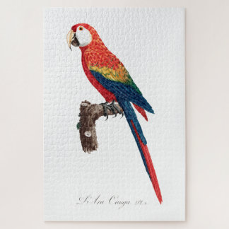 Vintage Parrot - Birds Old Illustration Art Jigsaw Puzzle