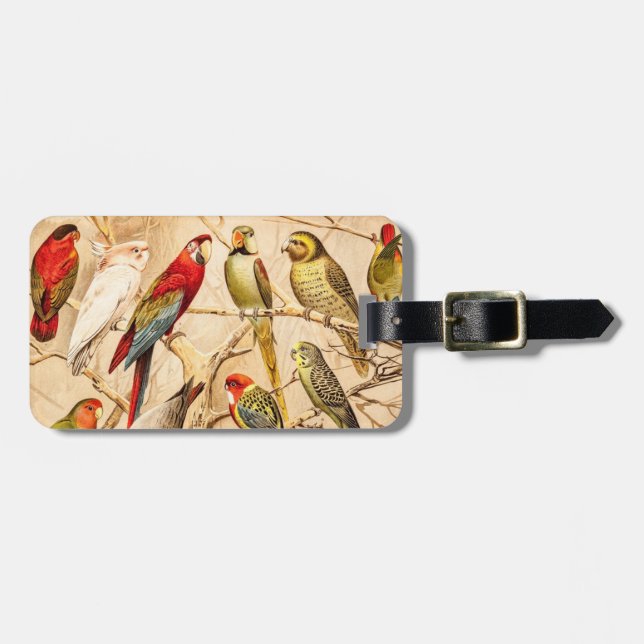 Vintage Parrot Cockatoo Conure Parakeet Cockatiel Luggage Tag (Front Horizontal)