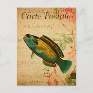 Vintage Parrotfish Fish Floral French Postcard