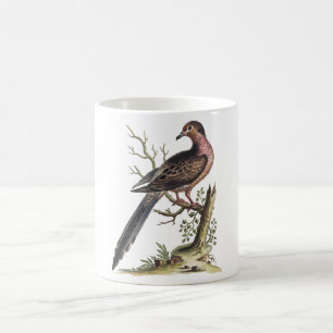 Vintage Passenger Pigeon Illustration  Coffee Mug