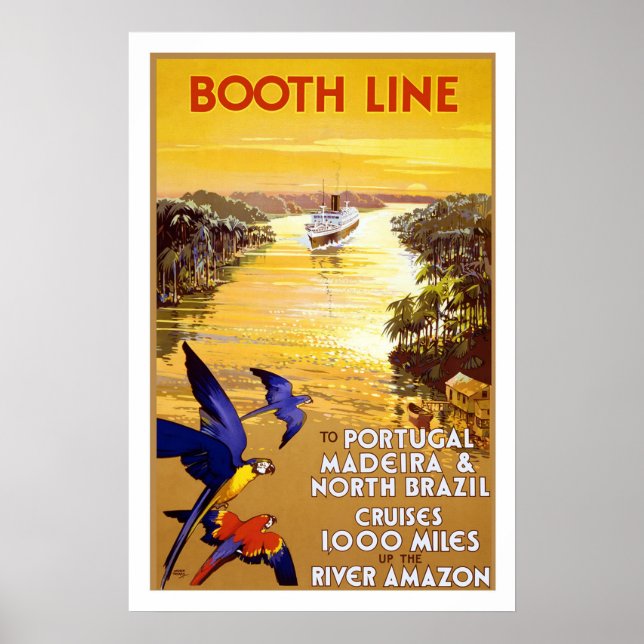 Vintage Passenger Ship Travel Poster (Front)