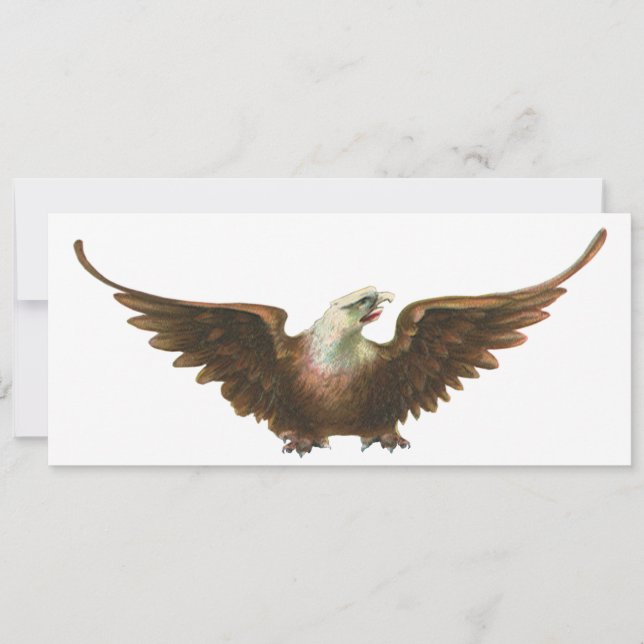Vintage Patriotism American Bald Eagle Bird Flying (Front)