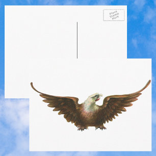 Vintage Patriotism American Bald Eagle Bird Flying Postcard