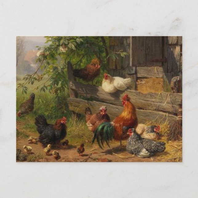 Vintage Pays Poulets ferme carte postale (Devant)