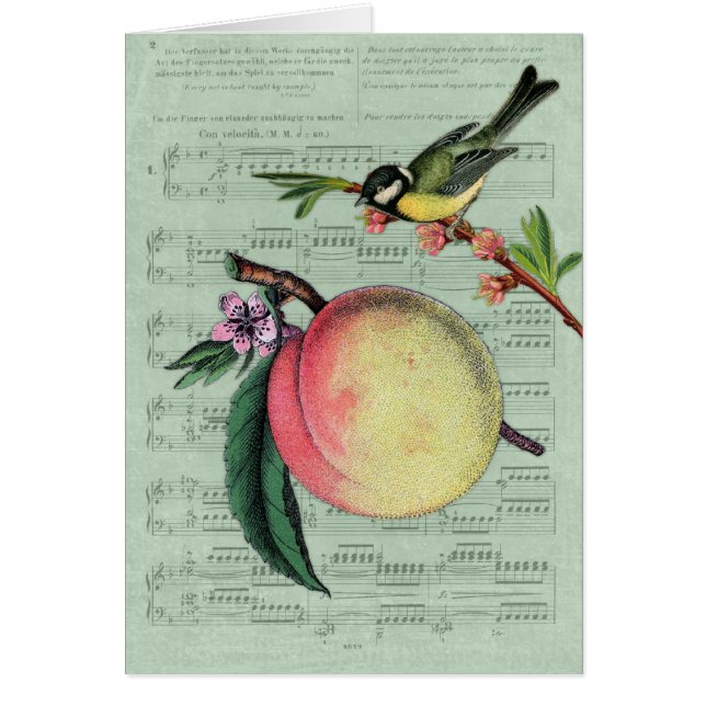 Vintage Peach and Bird (Front)