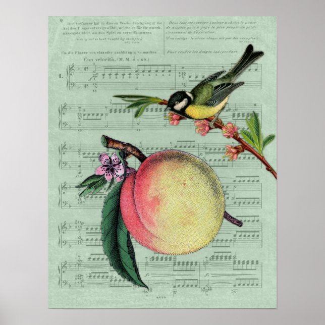 Vintage Peach and Bird Poster (Front)