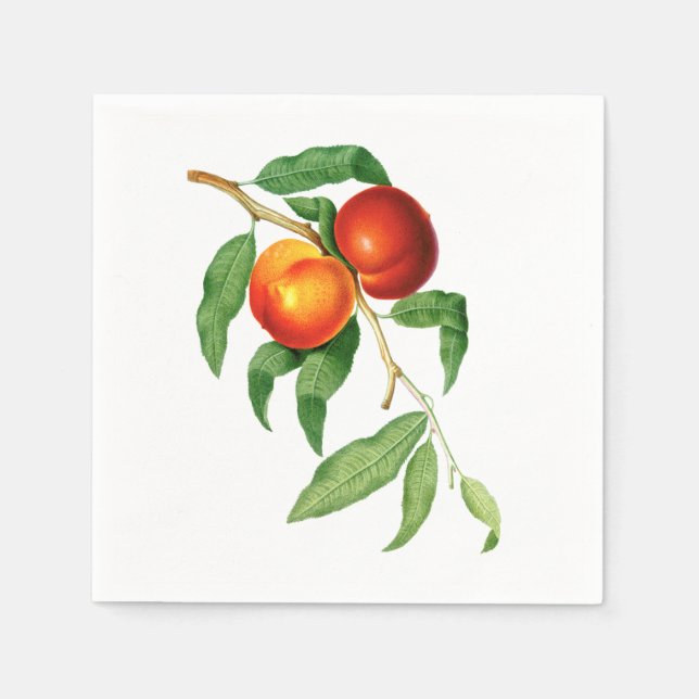 Vintage Peaches Napkin (Front)