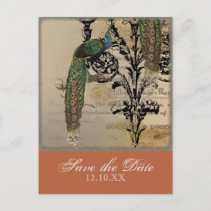 Vintage Peacock 6 - Save the Date Postcards