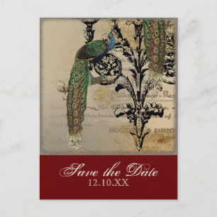 Vintage Peacock 6 - Save the Date Postcards