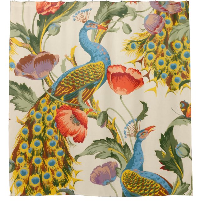 Vintage Peacock and poppies illustrations (Front)
