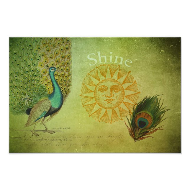 Vintage Peacock Art Collage Photo Print (Front)