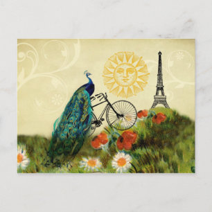 Vintage Peacock Art with Eiffel Tower Postcard