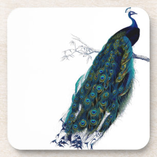 Vintage Peacock Coaster