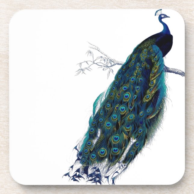 Vintage Peacock Coaster (Front)
