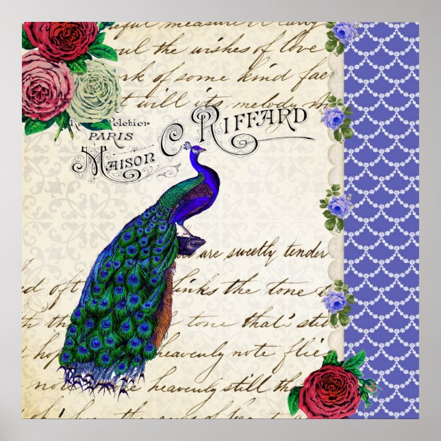 Vintage Peacock Collage art poster (Front)