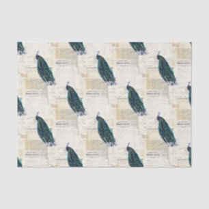Vintage Peacock French Ephemera Tissue Paper