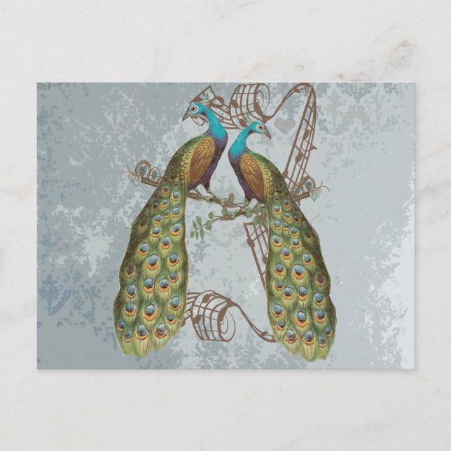 Vintage Peacock Grunge Damask on Silver Postcard (Front)