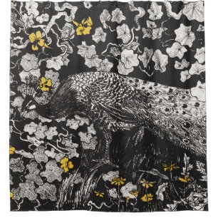 Vintage Peacock Illustration by Theo van Hoytema