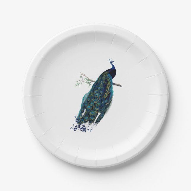 VIntage Peacock Illustration Paper Plate (Front)