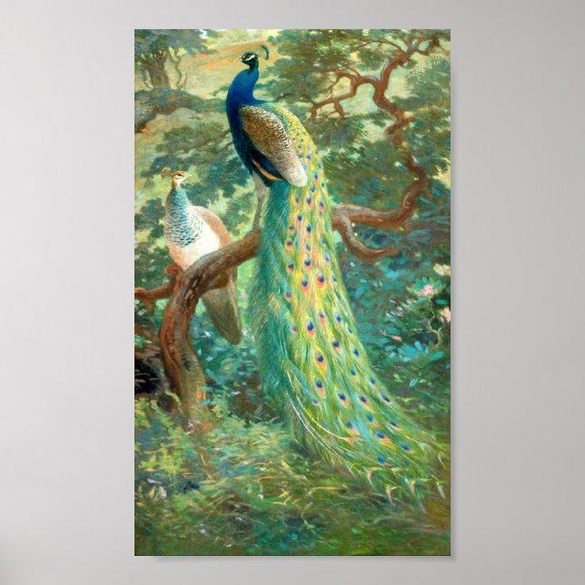 Vintage Peacock Image Poster (Front)