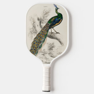 Vintage Peacock Natural History Print Pickleball Paddle