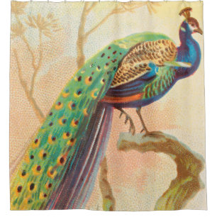 Vintage Peacock on a branch painting