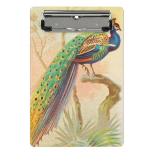 Vintage Peacock on a branch painting Mini Clipboard