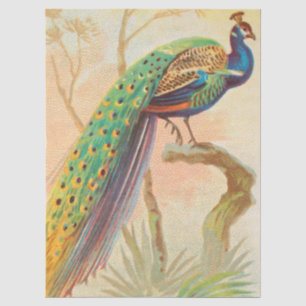 Vintage Peacock on a branch painting Tissue Paper