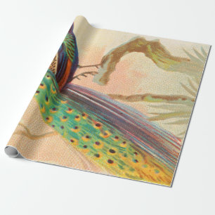 Vintage Peacock on a branch painting Wrapping Paper