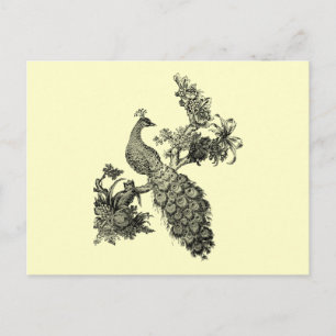 Vintage Peacock on Branch T-shirts and Gifts Postcard