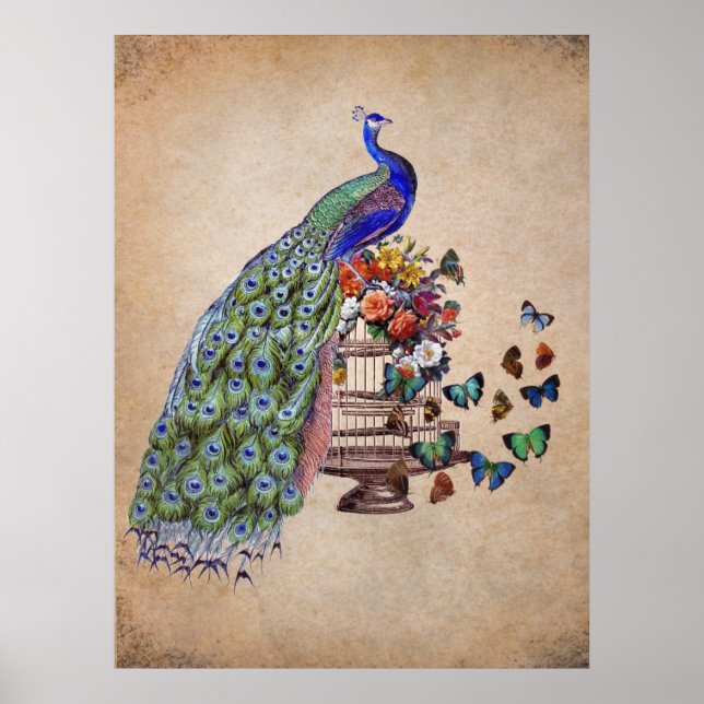 Vintage Peacock on cage Poster (Front)