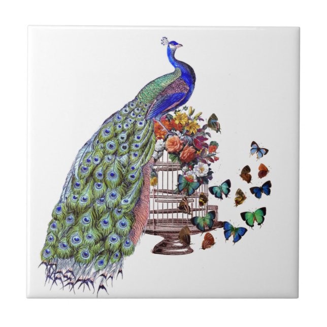 Vintage Peacock on cage Tile (Front)