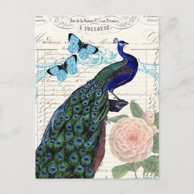 Vintage Peacock on French Ephemera Collage Postcard (Front)