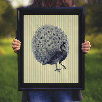 Vintage Peacock on Thin Stripes