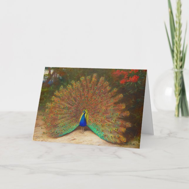 Vintage Peacock Painting Greeting Card (Front)