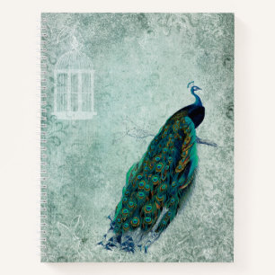 Vintage Peacock Sketchbook Notebook