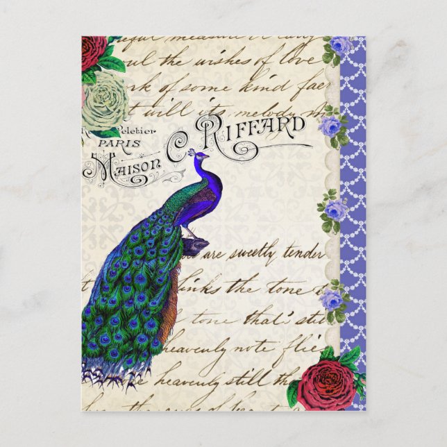 Vintage Peacock Song Collage Postcard (Front)