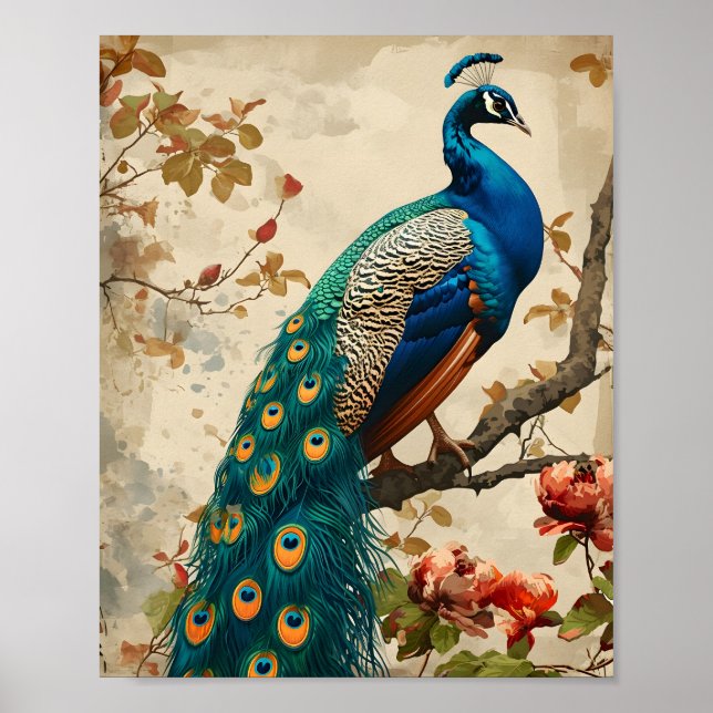 Vintage Peacock Splendour Poster (Front)