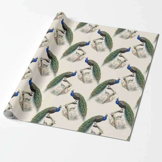 Vintage Peacock Wrapping Paper (Unrolled)