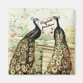 Vintage Peacocks with Names Magnet